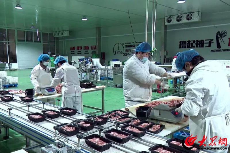 婚礼司仪：引领浪漫之旅的领航者